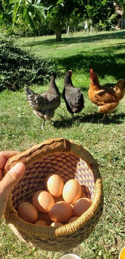 B&B La Ferme De Loubens Ngoại thất bức ảnh